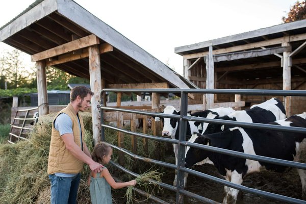Construire un hangar agricole : étapes et financements